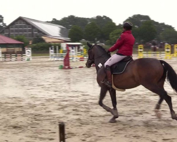 Reitturnier Schülp / Rendsburg 2023