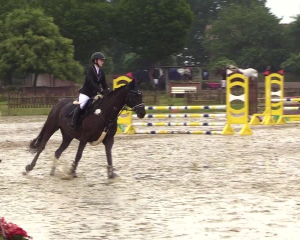 Reitturnier Schülp / Rendsburg 2023