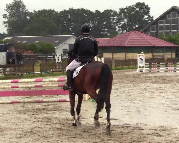 Reitturnier Schülp / Rendsburg 2023