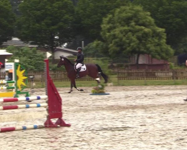 Reitturnier Schülp / Rendsburg 2023