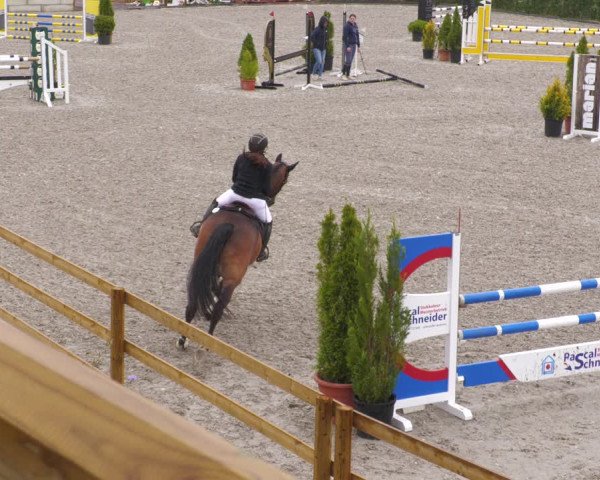 Reitturnier Margarethenhof /Beckingen 2023