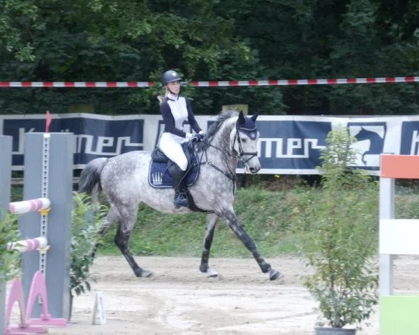 Reitturnier Walldorf/Winterheck PSG 2023