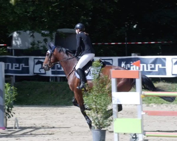 Reitturnier Walldorf/Winterheck PSG 2023
