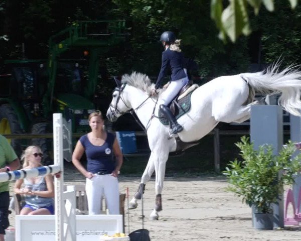 Reitturnier Walldorf/Winterheck PSG 2023