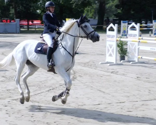 Reitturnier Walldorf/Winterheck PSG 2023