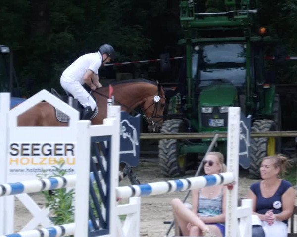 Reitturnier Walldorf/Winterheck PSG 2023