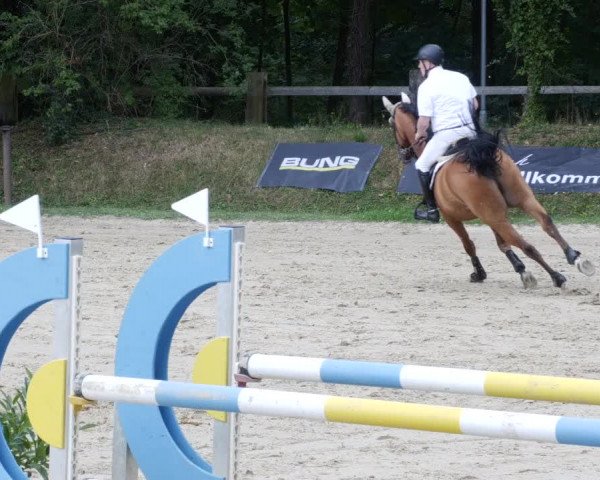 Reitturnier Walldorf/Winterheck PSG 2023