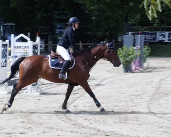 Reitturnier Walldorf/Winterheck PSG 2023