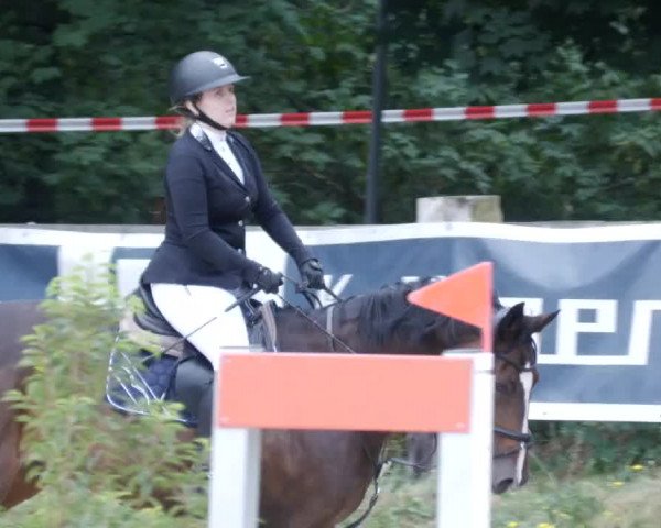 Reitturnier Walldorf/Winterheck PSG 2023