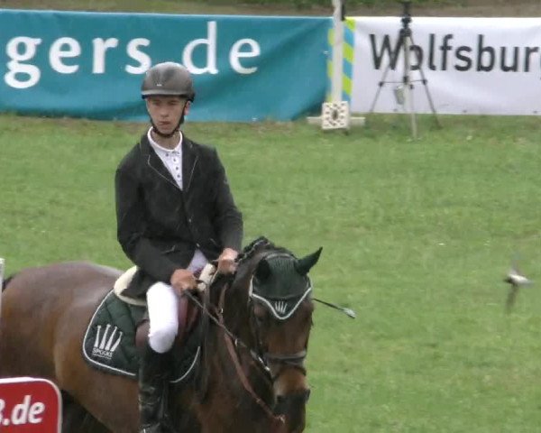 Reitturnier Wolfsburger Klassiker 2023