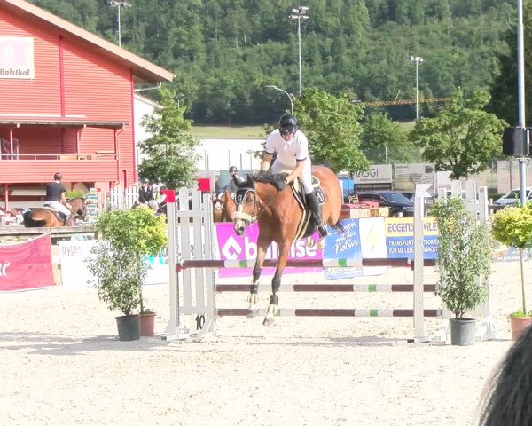 Reitturnier Balsthal 2023