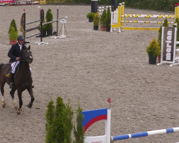 Reitturnier Margarethenhof /Beckingen 2023