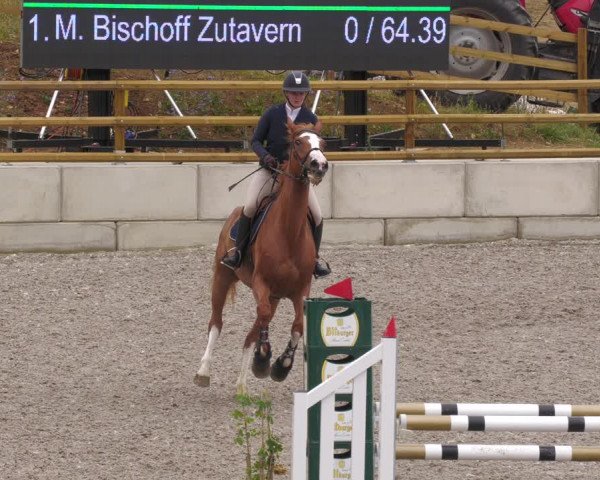 Reitturnier Margarethenhof /Beckingen 2023