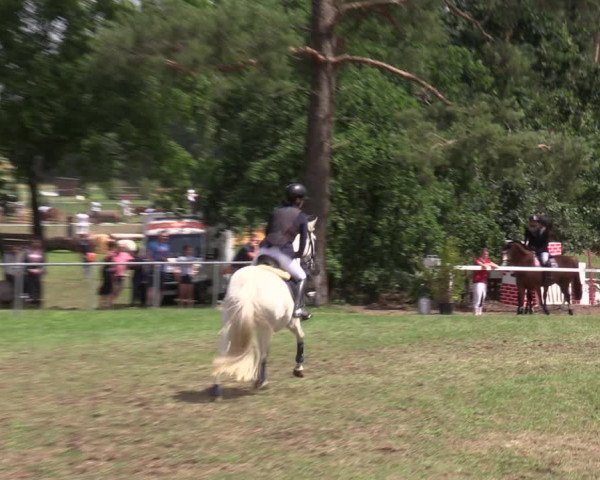 Reitturnier Niederwerbig 2023