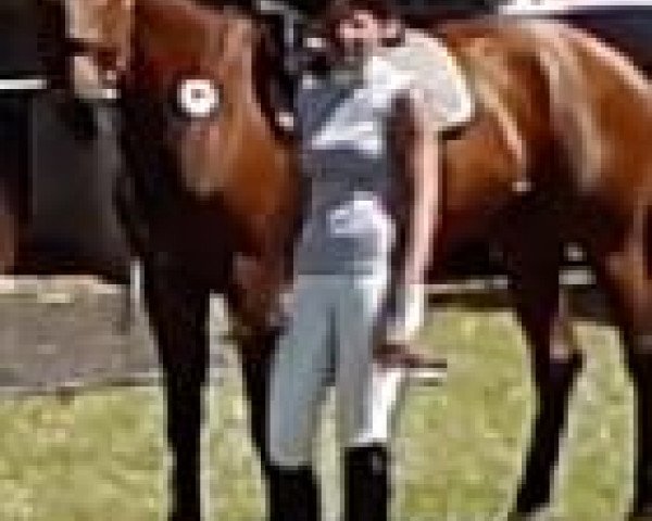 Patricia Langer