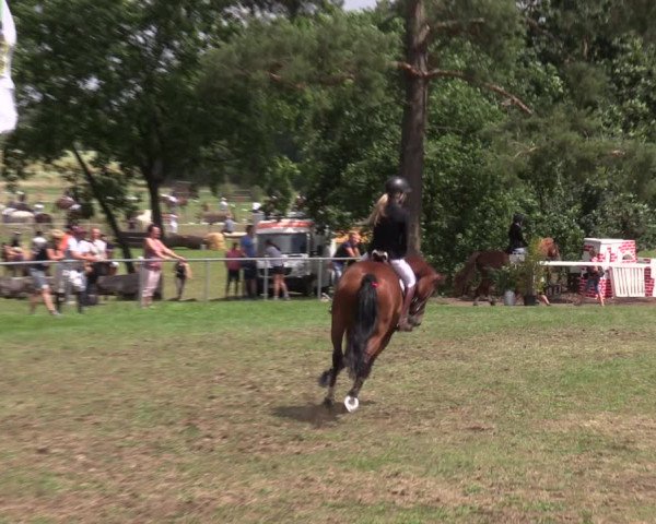 Reitturnier Niederwerbig 2023