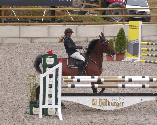 Reitturnier Margarethenhof /Beckingen 2023