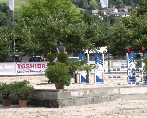 Reitturnier Balsthal 2023