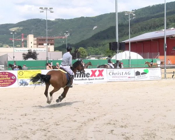 Reitturnier Balsthal 2023
