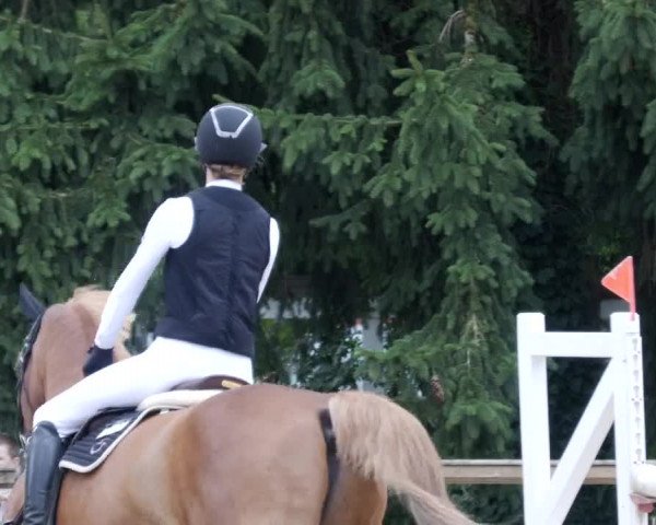 Reitturnier Walldorf/Winterheck PSG 2023
