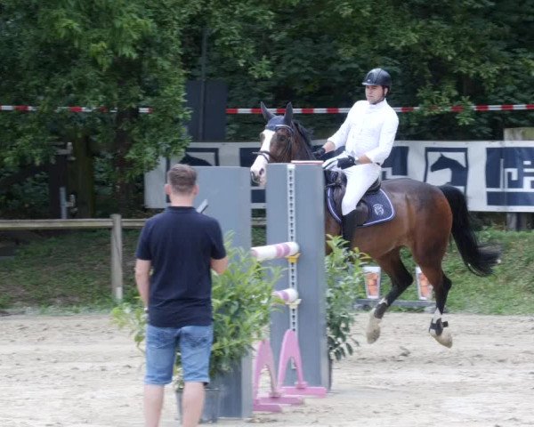 Reitturnier Walldorf/Winterheck PSG 2023