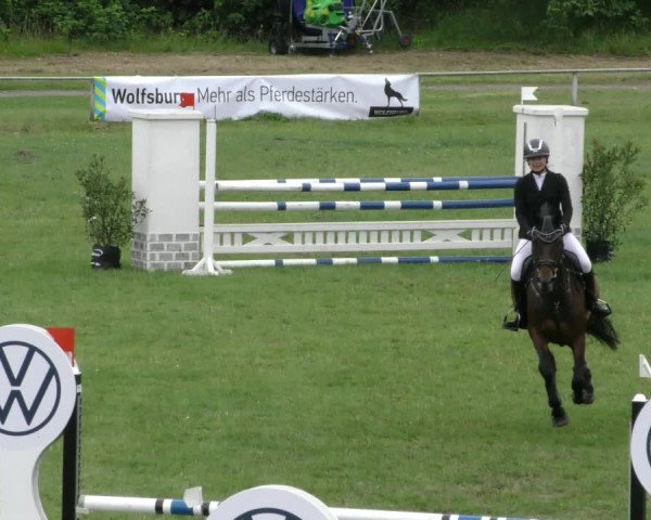 Reitturnier Wolfsburger Klassiker 2023