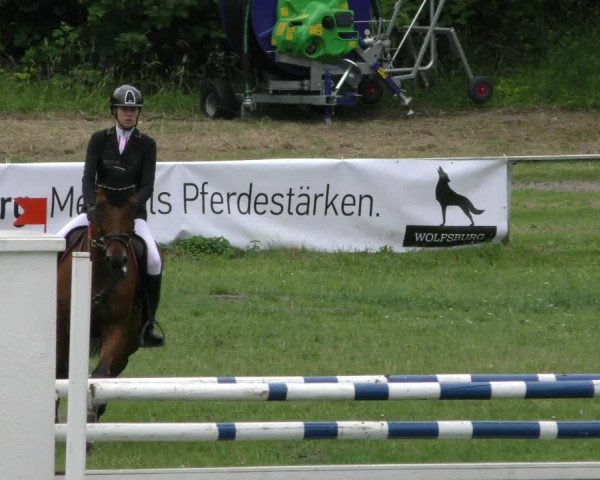 Reitturnier Wolfsburger Klassiker 2023