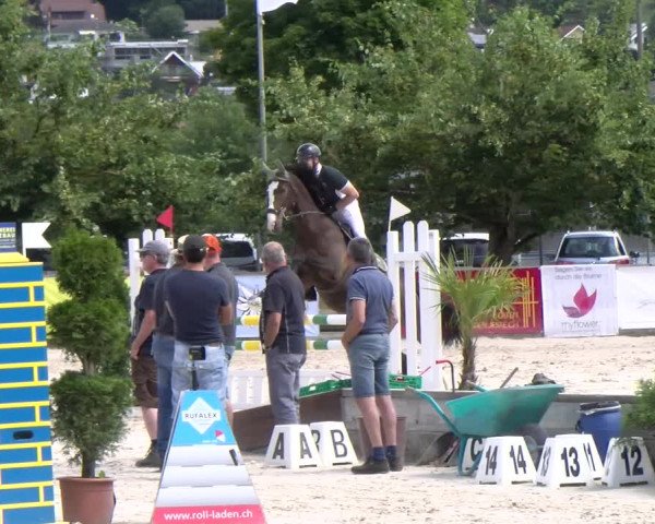 Reitturnier Balsthal 2023
