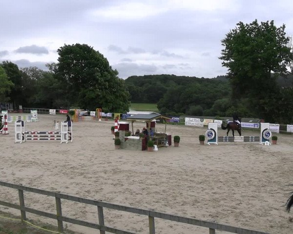 Reitturnier Kalenborn Hegehof 2023