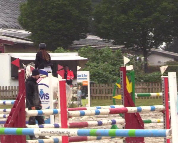 Reitturnier Schülp / Rendsburg 2023