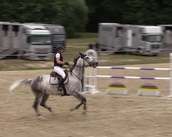Reitturnier Bad Liebenstein/Sorga 2023
