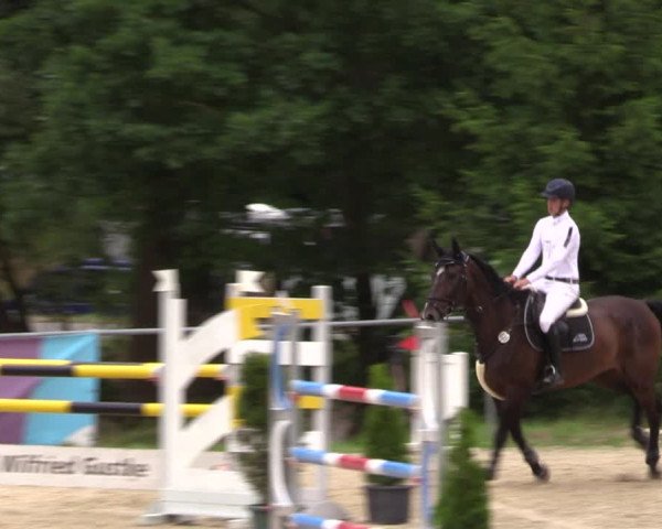 Reitturnier Bad Liebenstein/Sorga 2023