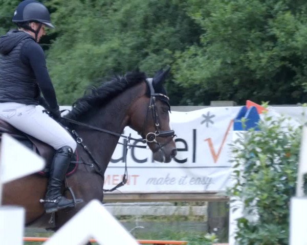 Reitturnier Walldorf/Winterheck PSG 2023