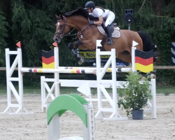 Reitturnier Walldorf/Winterheck PSG 2023