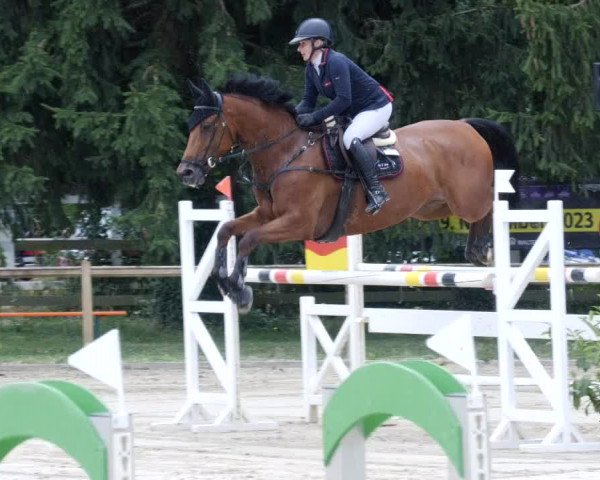 Reitturnier Walldorf/Winterheck PSG 2023