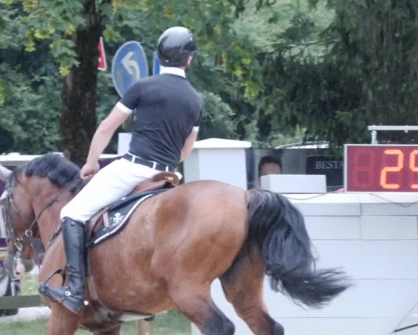 Reitturnier Walldorf/Winterheck PSG 2023
