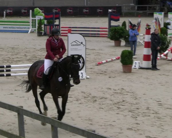 Reitturnier Kalenborn Hegehof 2023