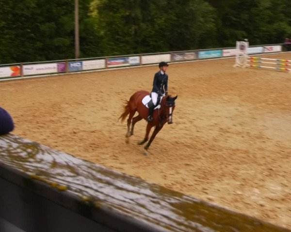 Reitturnier Uder, Reitanlage Kobold 2023