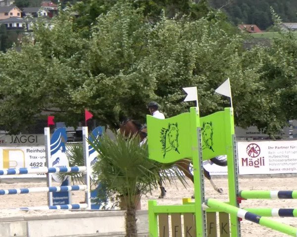 Reitturnier Balsthal 2023