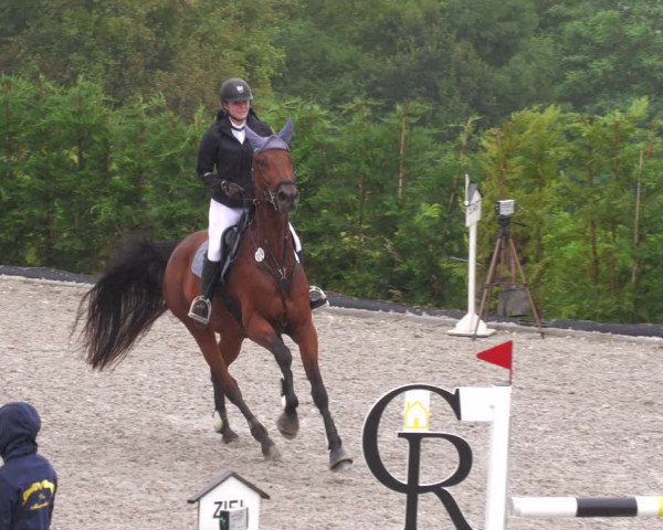 Reitturnier Margarethenhof /Beckingen 2023