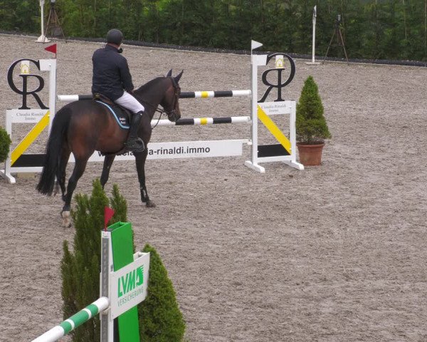Reitturnier Margarethenhof /Beckingen 2023
