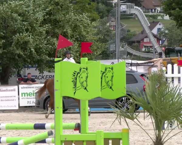 Reitturnier Balsthal 2023