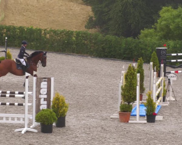 Reitturnier Margarethenhof /Beckingen 2023