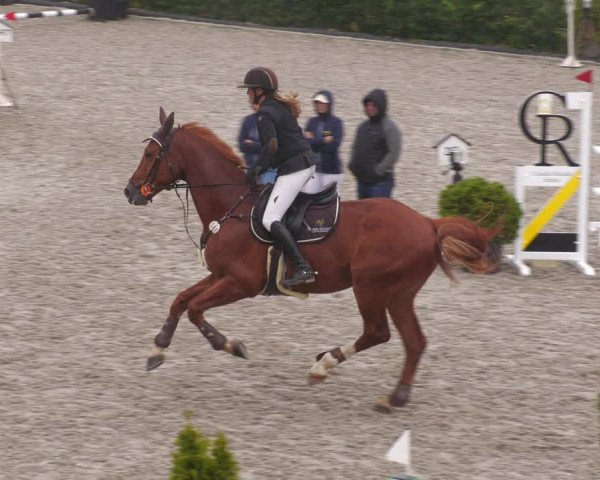 Reitturnier Margarethenhof /Beckingen 2023