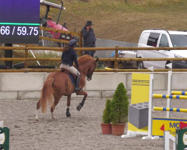 Reitturnier Margarethenhof /Beckingen 2023