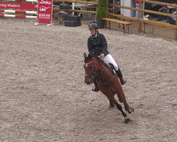Reitturnier Margarethenhof /Beckingen 2023