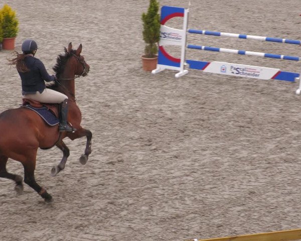 Reitturnier Margarethenhof /Beckingen 2023