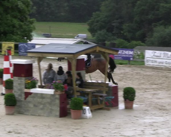 Reitturnier Kalenborn Hegehof 2023