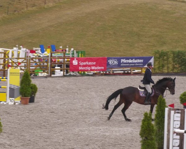Reitturnier Margarethenhof /Beckingen 2023
