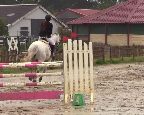 Reitturnier Schülp / Rendsburg 2023